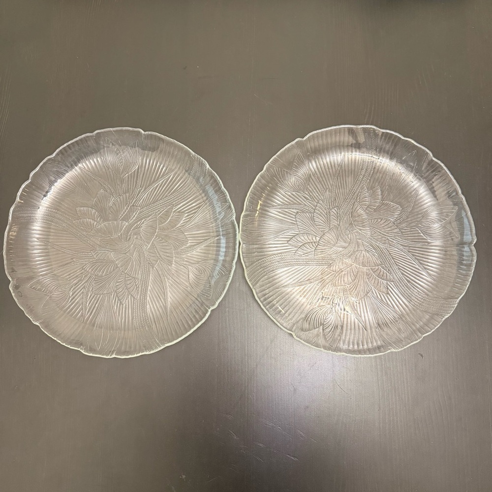 Set 2 Arcoroc France Canterbury Glass Crocus Flower Pattern Dinner Plates 10.75”